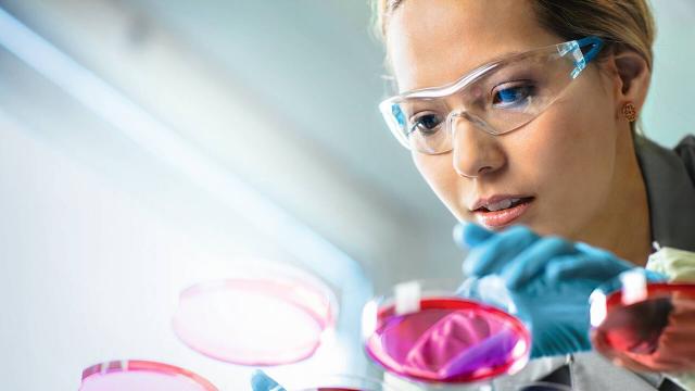 лабораторию